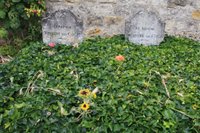 20090718_auvers_sur_oise_151